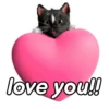 Kucing Gemoy <3 15