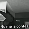 😈 Randoms con frases 🤨😂 6