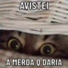 PRA TIRAR DO SÉRIO? 11
