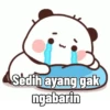 Panda gendut 5