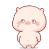 Lucu babi 6