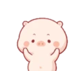 Lucu babi 5