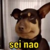 Memes pra toda hora 7