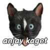 Kucing Gemoy <3 10