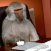Monos_random_2 5