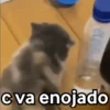 😈 Randoms con frases 🤨😂 8