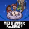 Animaditos 🤩 5