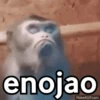 😈 Randoms con frases 🤨😂 12