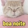 MEMES E REAÇÕES🤪❤ 7