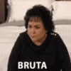 🌝Memes Surtidos🐦 10