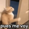 😈 Randoms con frases 🤨😂 13