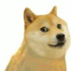 🤪Doge Random🐶 10