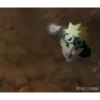 NARUTO 7