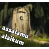 Shrek tengil 11
