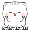 PENTOL BUCIIN  14