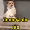 Vários memes p vc 8