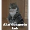 Animasi kucing 29