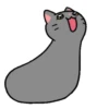Kucing Kiyowo 12
