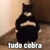Atualiza aí 10
