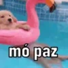 Explosão de fofura 💕 7