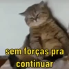 👯‍♀️✨DIA DE ATUALIZAR SUAS FIGS 13