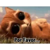 Mix de reações 6