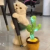Animalitos Reacciones MOV 10