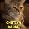 Popular GIFs 10