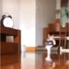 анимация для вас 10
