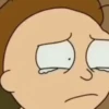 RICK AND MORTY 15