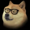 🤪Doge Random🐶 7
