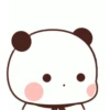 Panditas 11