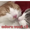 Gosta de alguém? usa essas aq 9