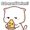 Peach Cat (3) 8
