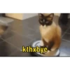 kthxbye
