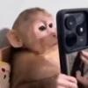 🎵 TIKTOKeando 47 🎵 26