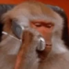 Monkey 15.0 26