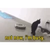 not now, i'm busy.