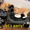 let's party!