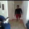 Gatos 7