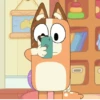 Bluey 29