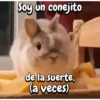 Funny's Rabbit 🥕🐇 13