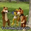 Yo trabajo para vivir