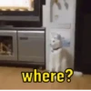 where?