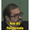 Nao diz flor de seda