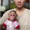 ❀ᮬ🤎⣧ ᩡᩡ Monos !©️Pochis  28