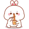 Kelinci gemoy  15