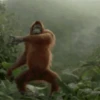 Dancing monkey 🐒 9