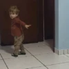 Animadas 9