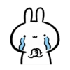 Tantrum Rabbit 7